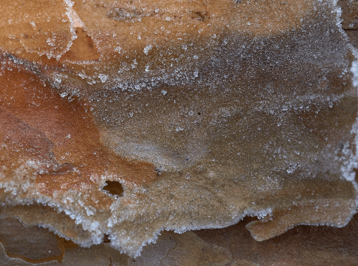 Customer Service CTA