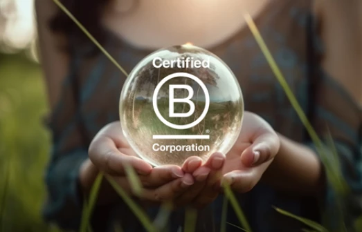 b-corp-sphere
