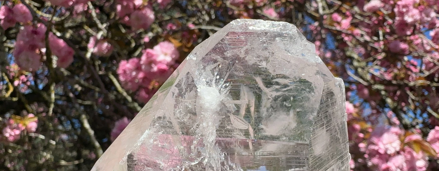 lemurian-slide-flower