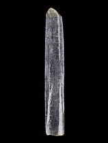 737-JAK-01