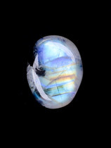 566-ELI-217a